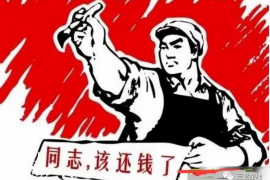 桓台为什么选择专业追讨公司来处理您的债务纠纷？